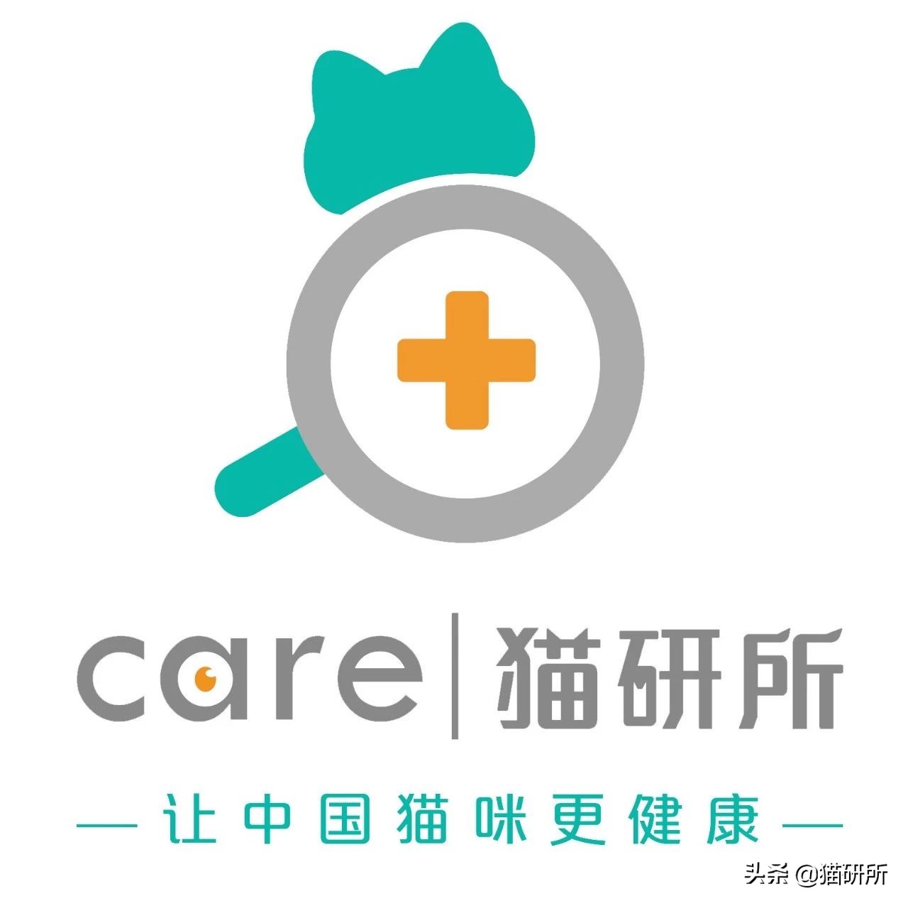 10张让人不寒而栗的图片,猫咪x光正常图片