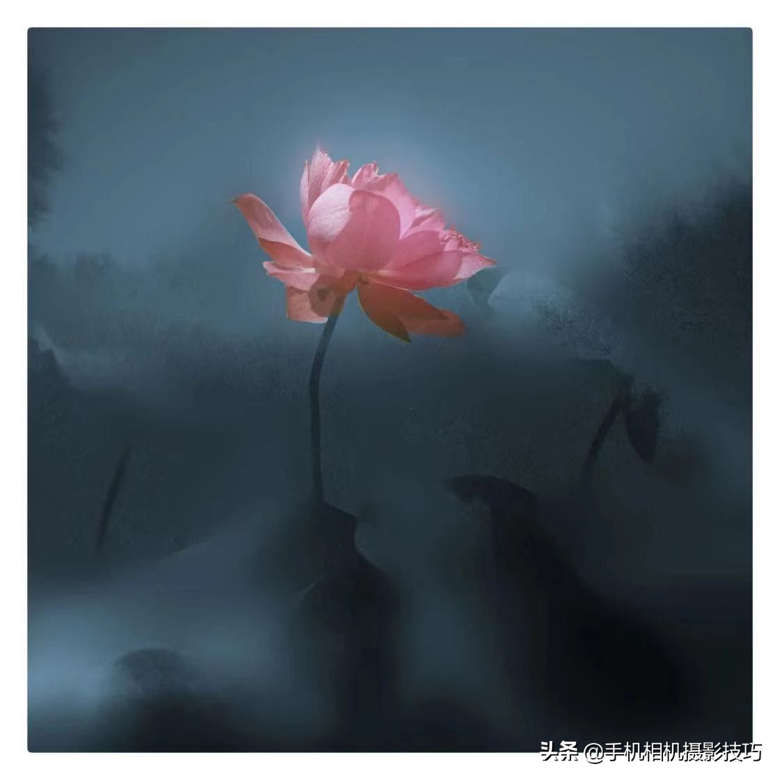 普通人如何拍出比较好看的照片,16张普通人拍出来的好照片