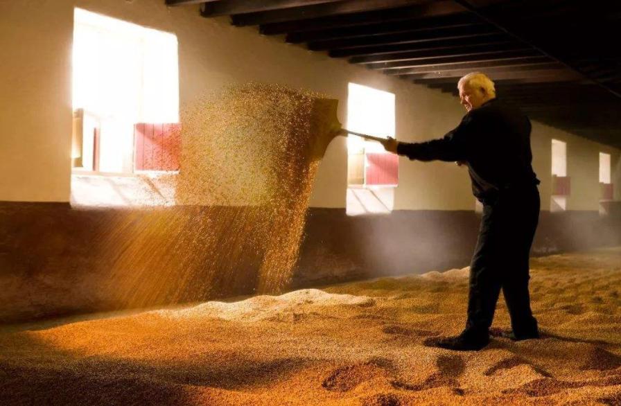 苏格兰威士忌为什么用发芽的大麦,驭凡威士忌配置