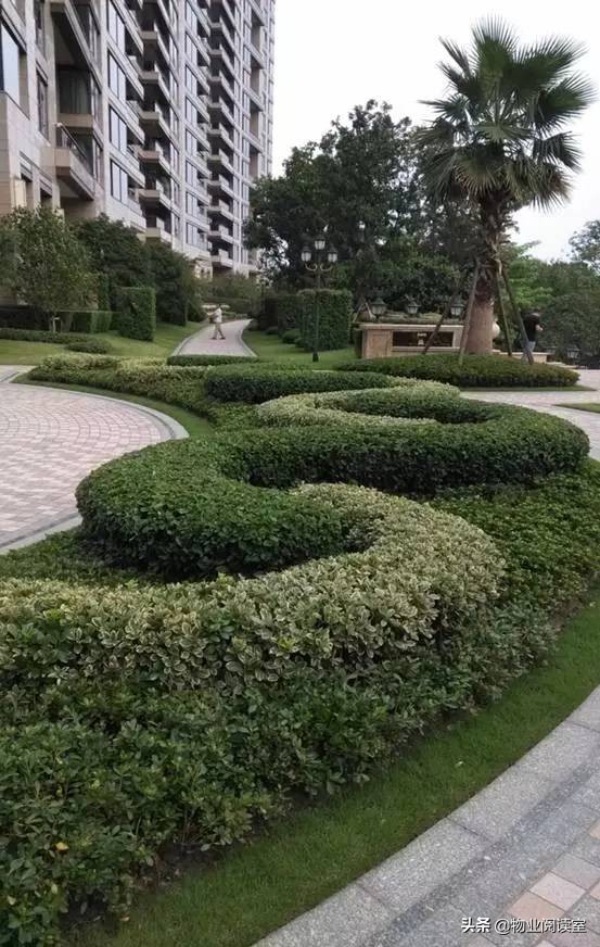 小区绿化养护一般做哪些工作,小区绿化养护需要什么资质