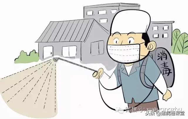 保育仔猪的饲养方法和技巧,保育仔猪的饲养管理