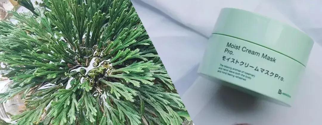 日本zeff素颜霜在日本卖多少钱,推荐一款不假白的素颜霜