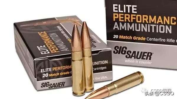 西格绍尔45冲锋枪,西格绍尔战术冲锋枪