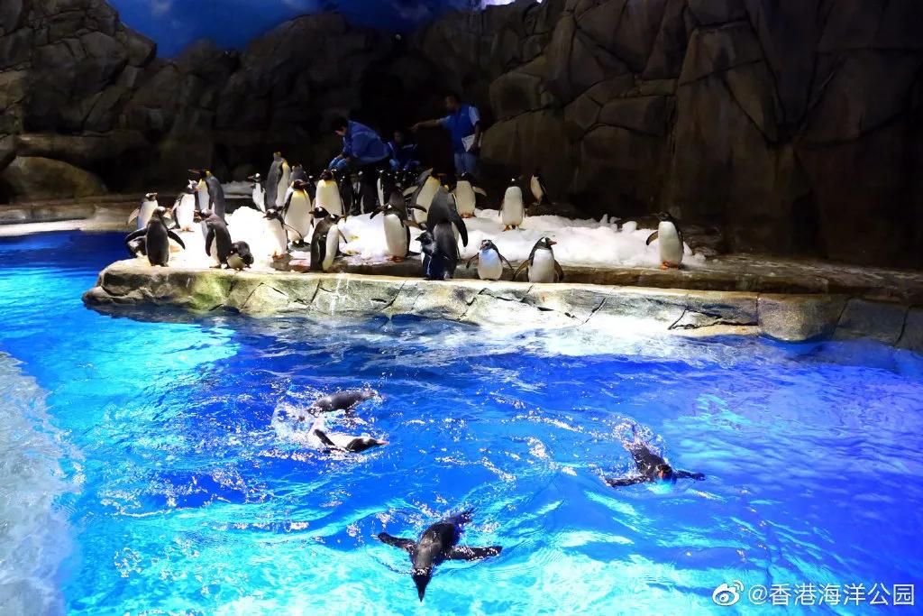 日照海洋公园闭园时间,海昌海洋公园开园闭园时间