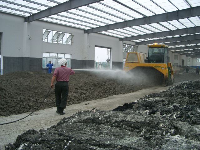 乳酸菌在畜禽上怎么用,乳酸菌饲养技术