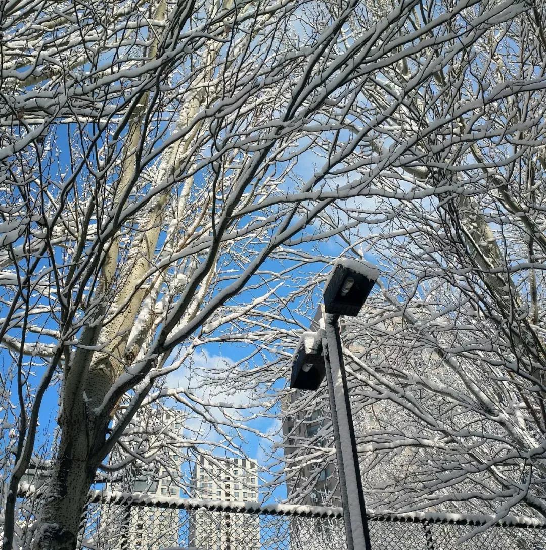 辽宁大学和鲁迅美术学院,辽宁省鲁迅美术学院是985吗