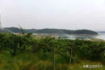 松滋市区游玩,松滋市旅游攻略