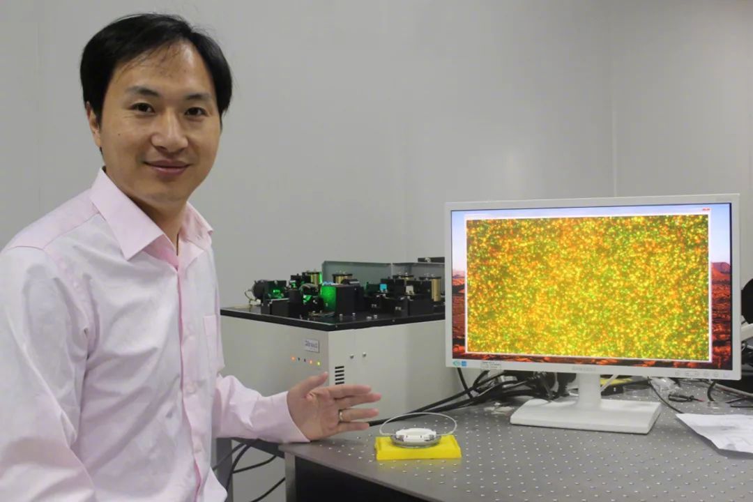 全球首例基因编辑猪心移植到人体,世界首例基因编辑技术治疗肺癌