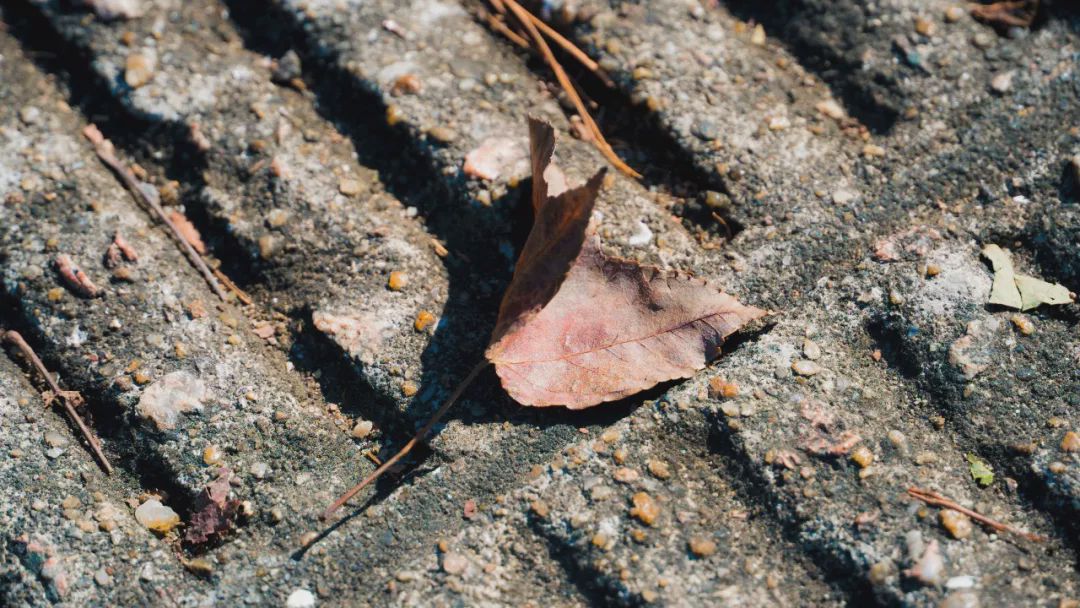 南山景区小长城,深圳藏着的小长城