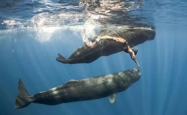 c罗潜水,c罗游泳视频大全集