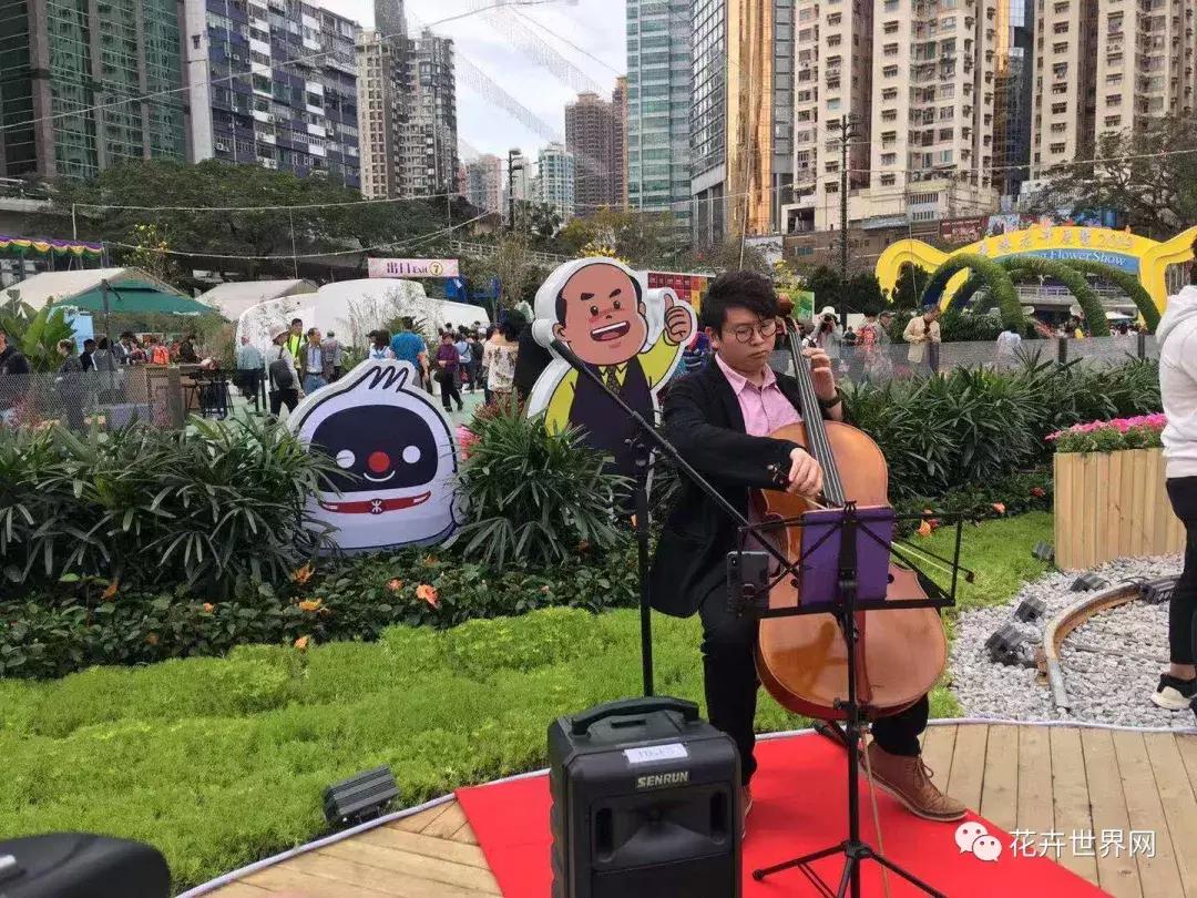 共赴盛会活动,香港国际花卉展