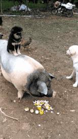 男子被车撞出3米求生欲,求生欲创造奇迹男子被撞