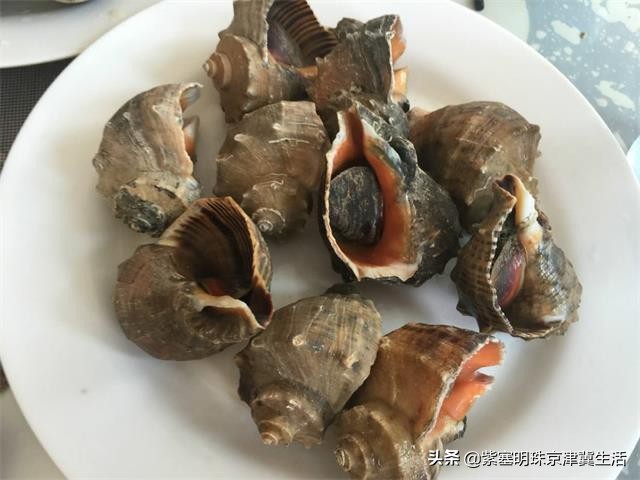 大连哈仙岛民宿三餐,大连哈仙岛民宿客栈