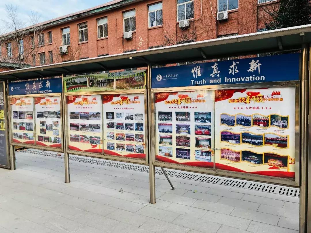 山东科技大学,不再见!