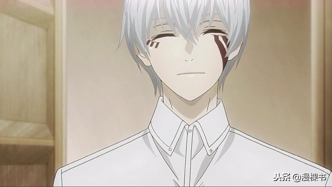 东京喰种re讲了什么,东京喰种re第二季完结了吗