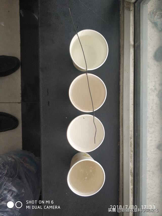 硫酸铵能用作玉米追肥吗,硫酸铵能给果树上硼肥吗