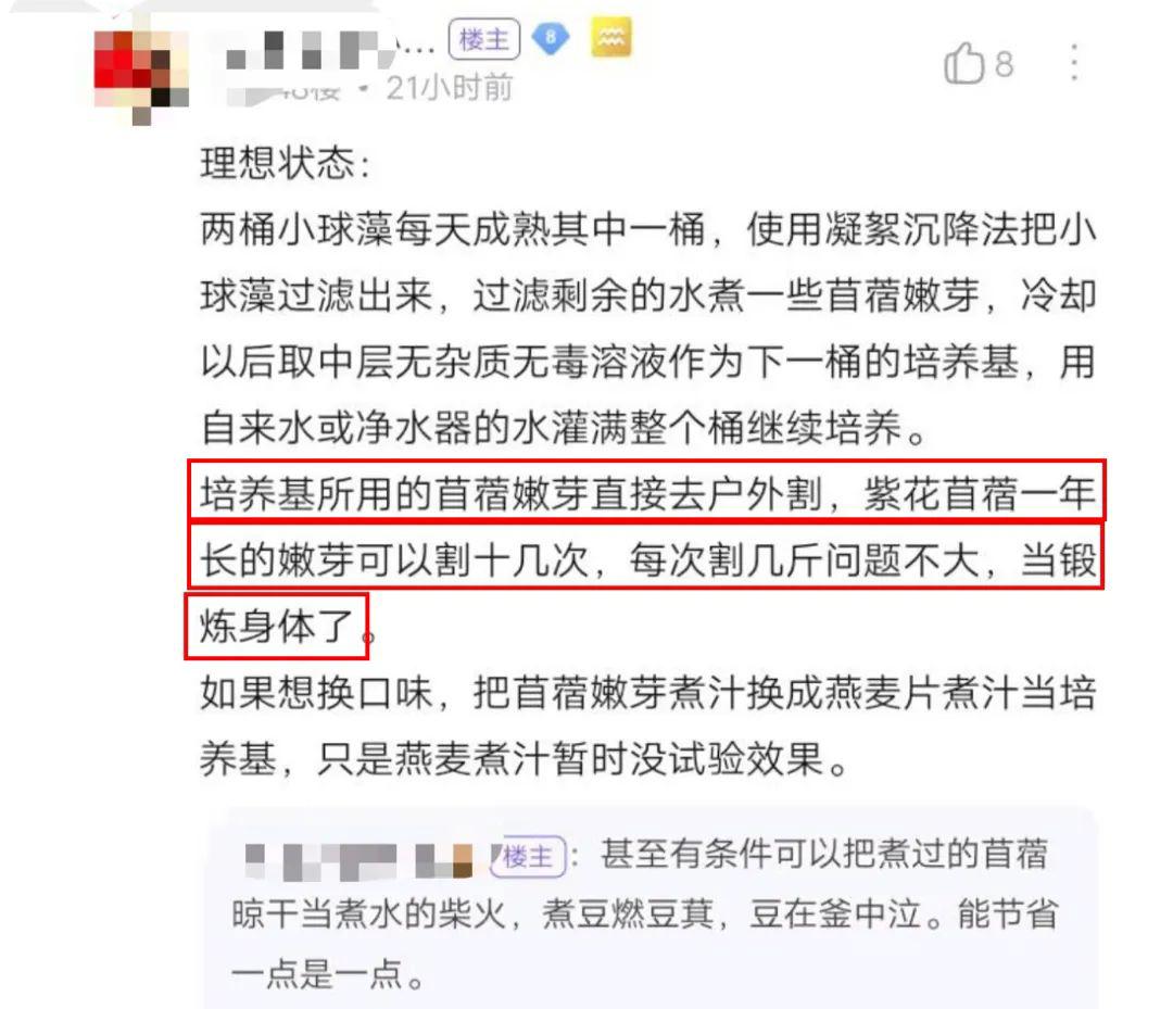接地气但不能接地府之类的梗,可以接地气但不能接地府梗抖音
