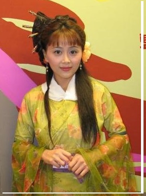 《刀光侠影》20淮河上金花露绝技风雨中陆游喜降生