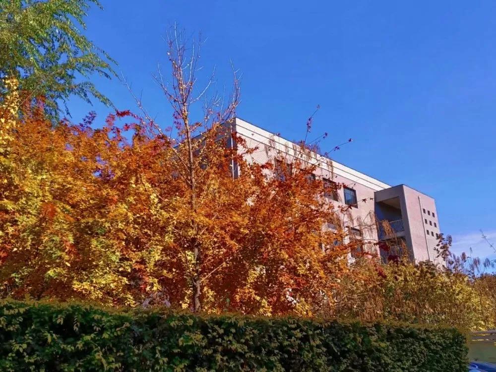 辽宁中医药大学杏林学院规模,辽宁中医学院杏林学院的排名