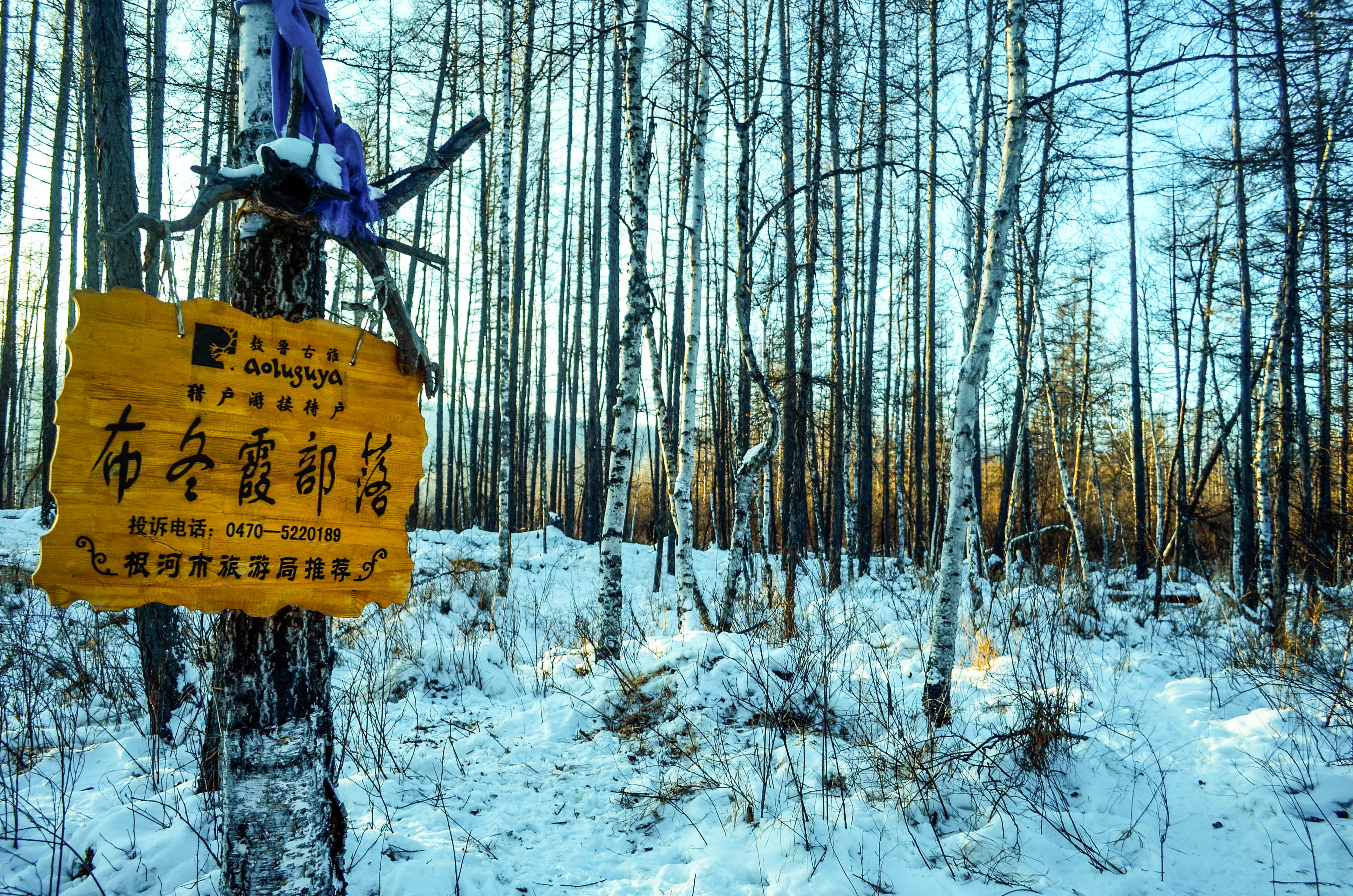 探访最冷的地方,中国最冷的地方零下80度去旅行