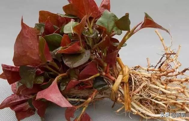 韩国销量最好的化妆品,韩国十大护肤品有哪些品牌