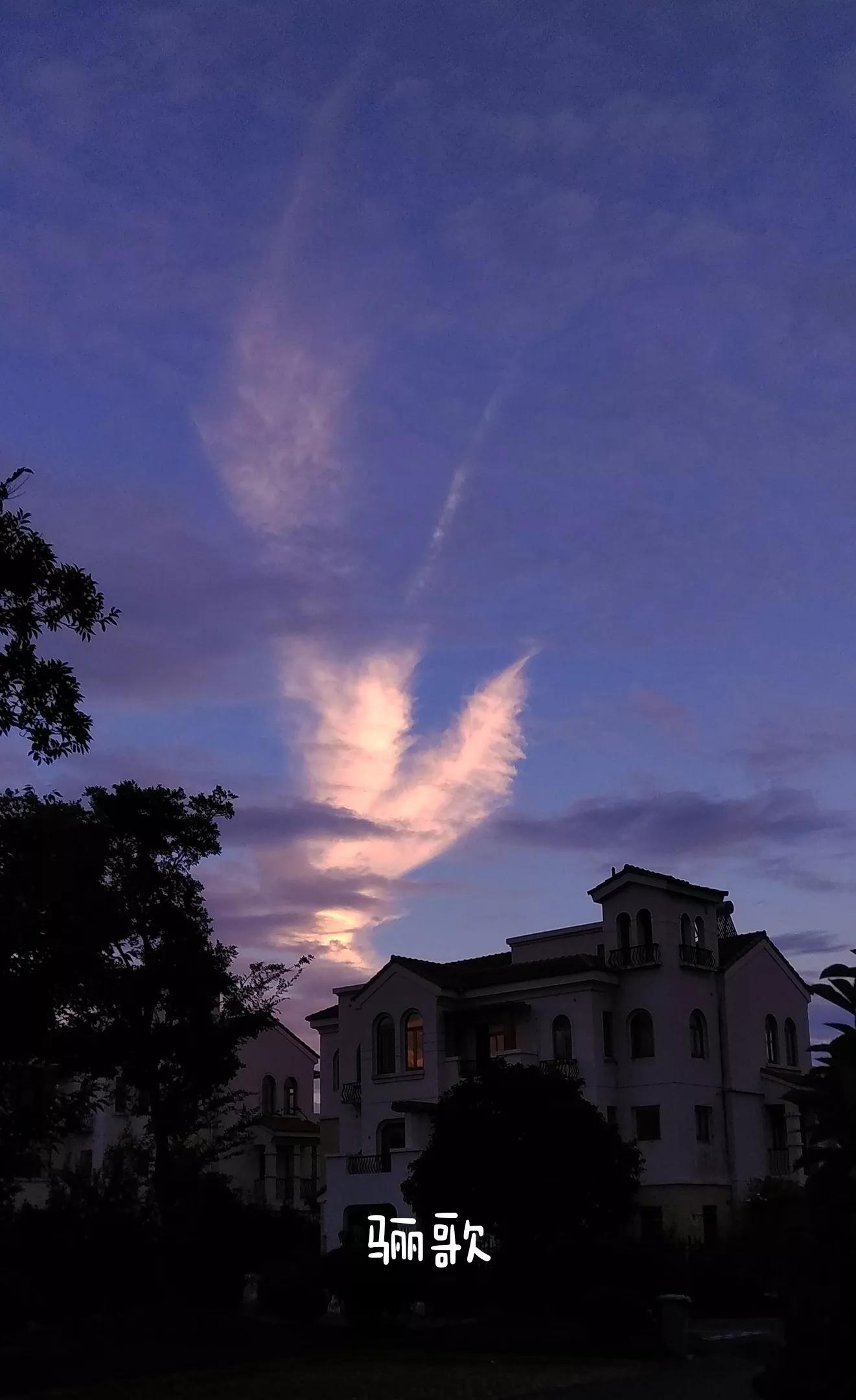 2020,我拍的奇云集锦