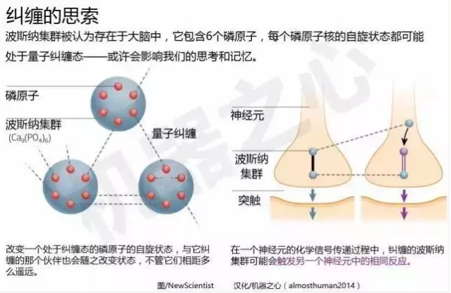 到底在争什么？*舟子方**再怼“量子之父”，