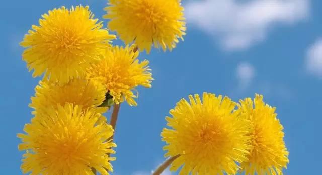 一个女公务员的感悟,如何做一名合格的基层女干部