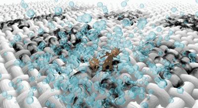 内衣裤有异味如何洗好一点,内衣裤尿渍发黄如何去除