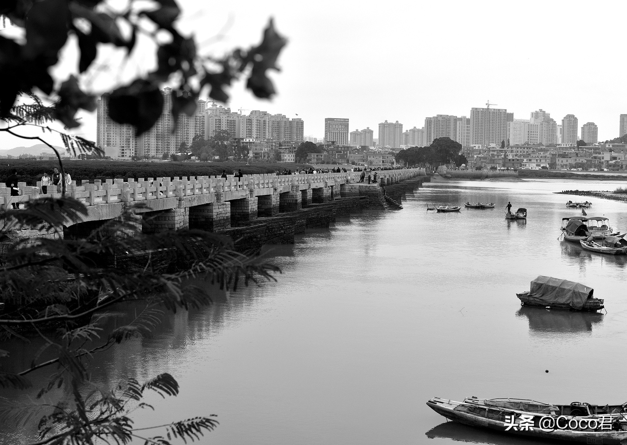 洛阳桥跟赵州桥有什么相同点,赵州桥和洛阳桥哪个历史更悠久