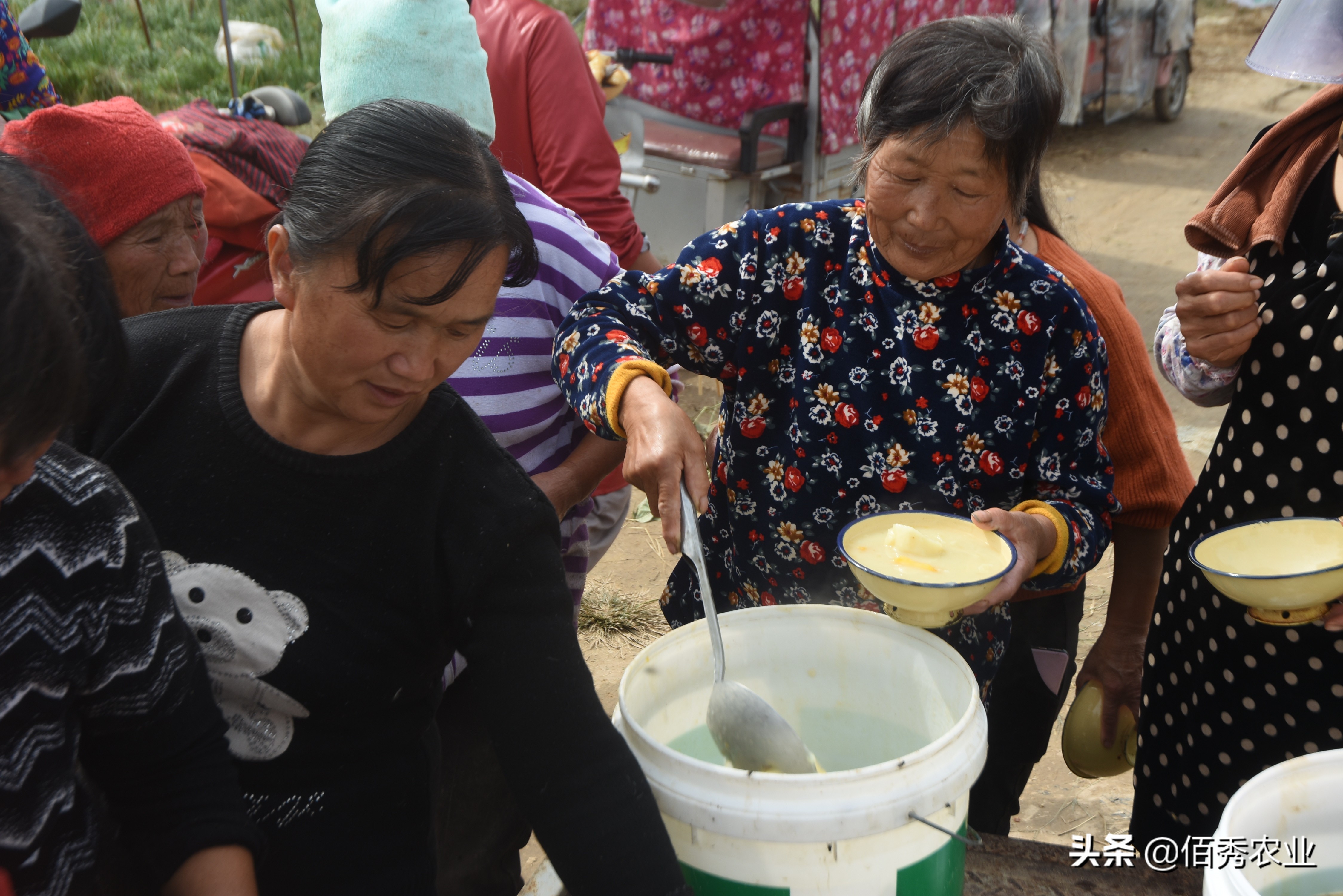 一个农村妇女可以做什么赚钱养家,农村妇女什么不懂可以做什么赚钱