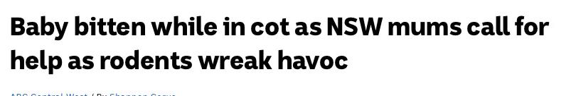 澳大利亚鼠灾事件视频,澳大利亚鼠害事件