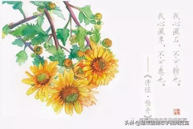 诗经俏皮句,诗经美句朗读