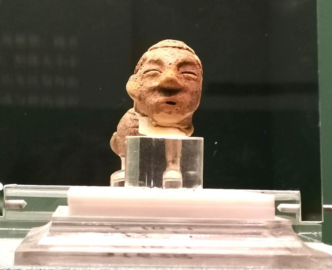 沈阳日报12月13日,沈阳新闻9月16日