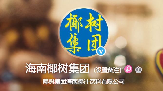 椰树椰汁终于换logo,椰树牌椰汁风格设计模板