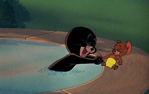 礼仪常识握手,握手礼仪的禁忌是什么