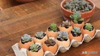 巧妙旧物改造塑料瓶变身手工花盆,旧物利用变废为宝制作花盆