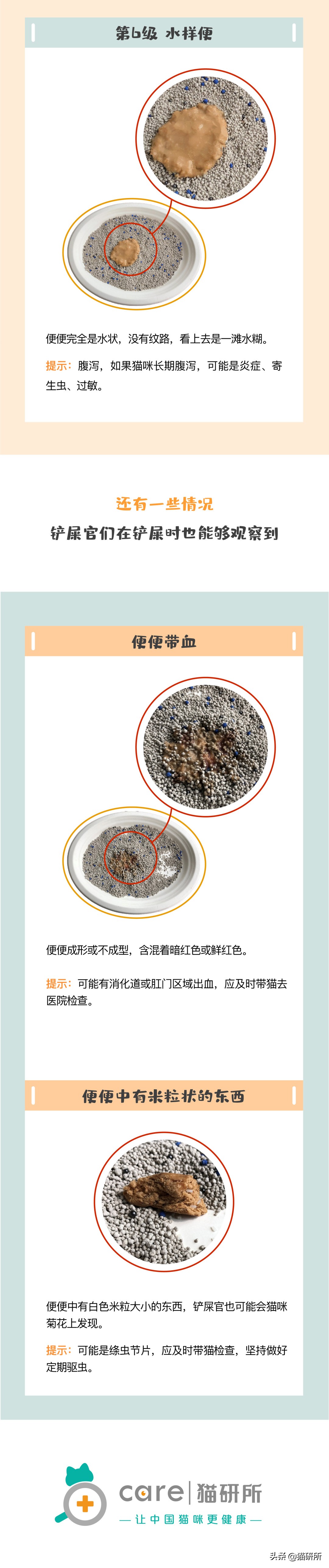 一张图学会判断猫咪拉稀严重程度,一张图学会判断猫咪呕吐