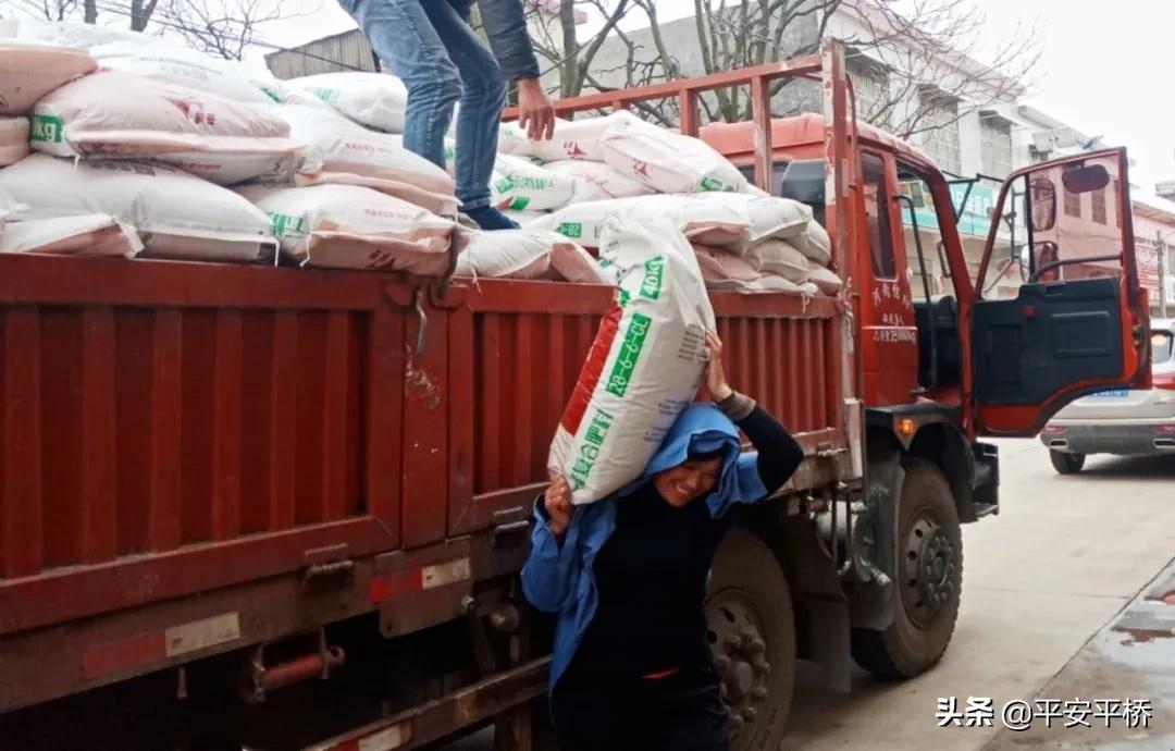 平桥区明港镇：防疫不松劲春耕备播忙