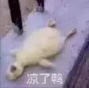 活该？曾经全球第一的手机，终于把自己玩死了