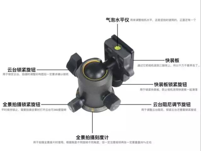 19个冷知识分享,19条有趣的冷知识大全