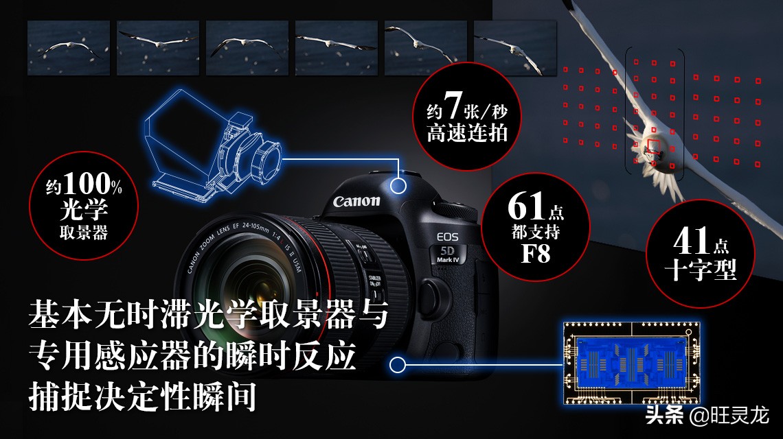 摄影零基础入门买佳能5d合适吗,尼康d850和佳能5d4拍人像哪个好