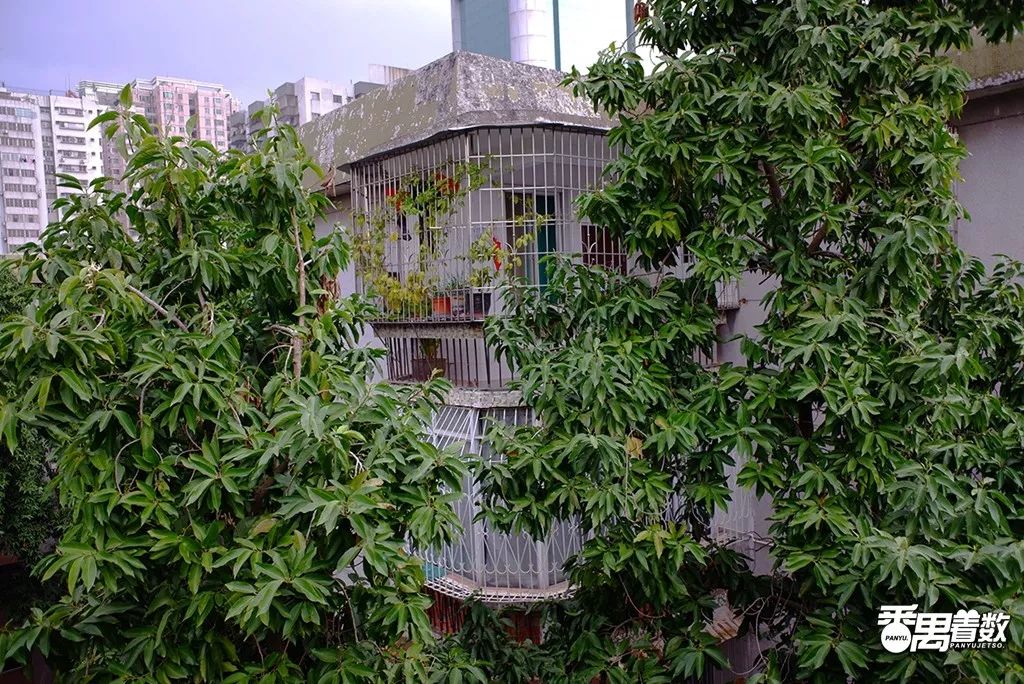 住在番禺的人的感受,在番禺住哪里比较好