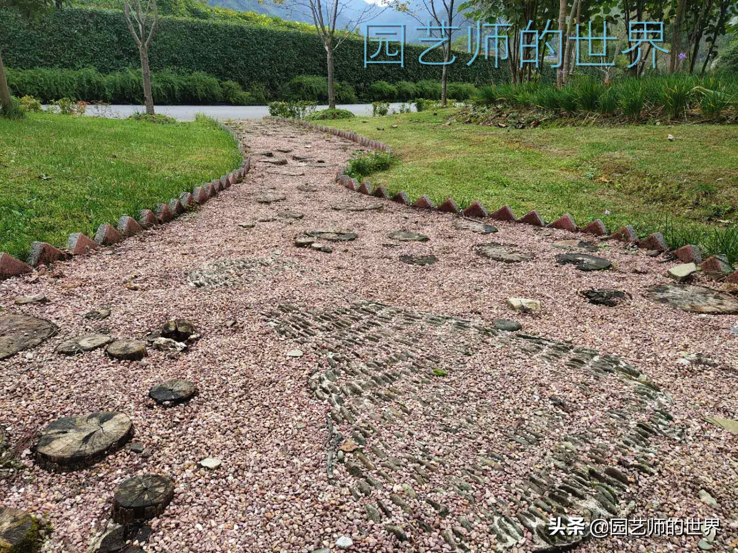 花园科学实验,花园案例及解析