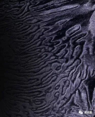 前几年的皮草有哪些款式,珍稀的皮草有哪些