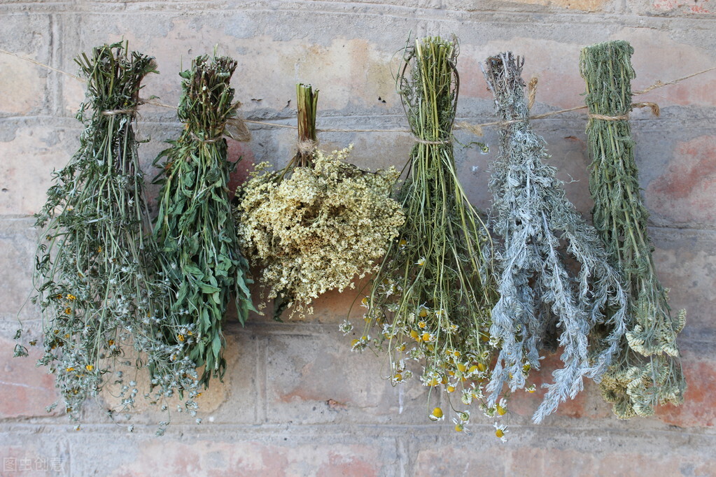 夏至到来，端午悬挂房前的艾草如何处置？5句老话知晓干艾5去处