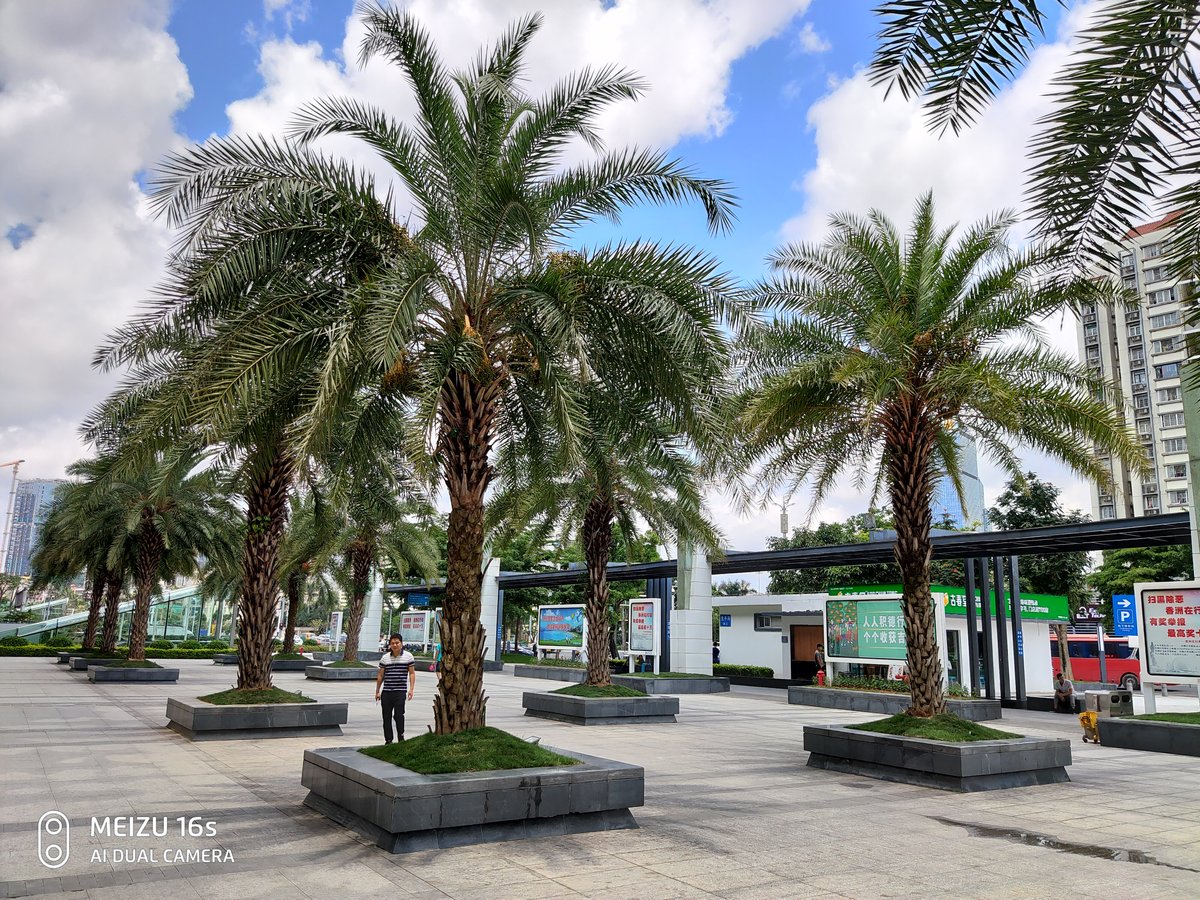 执着于细节打磨，它比前代强太多！魅族16s详细评测