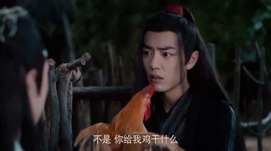 陈情令蓝忘机背着魏无羡照片,陈情令蓝湛给魏无羡偷鸡