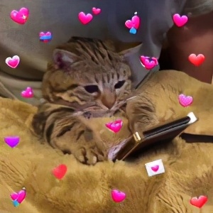 爱心表情拼成一个心形,爱心有个蝴蝶结的表情