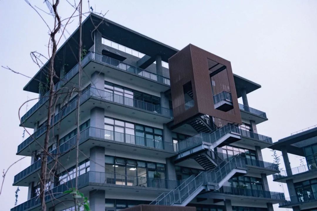 深圳风景最好的岛,深圳有个什么旅游岛